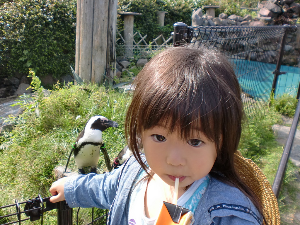 �ڥ󥮥�Ȱ���