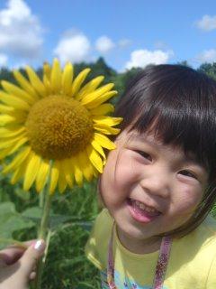 ���ƤΥҥޥ��(���ء���) ���ƤΥҥޥ��(���ء���)