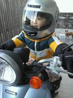 ���ӥå��饤������