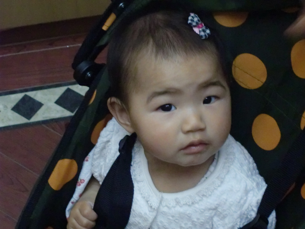 �뺧���˻���