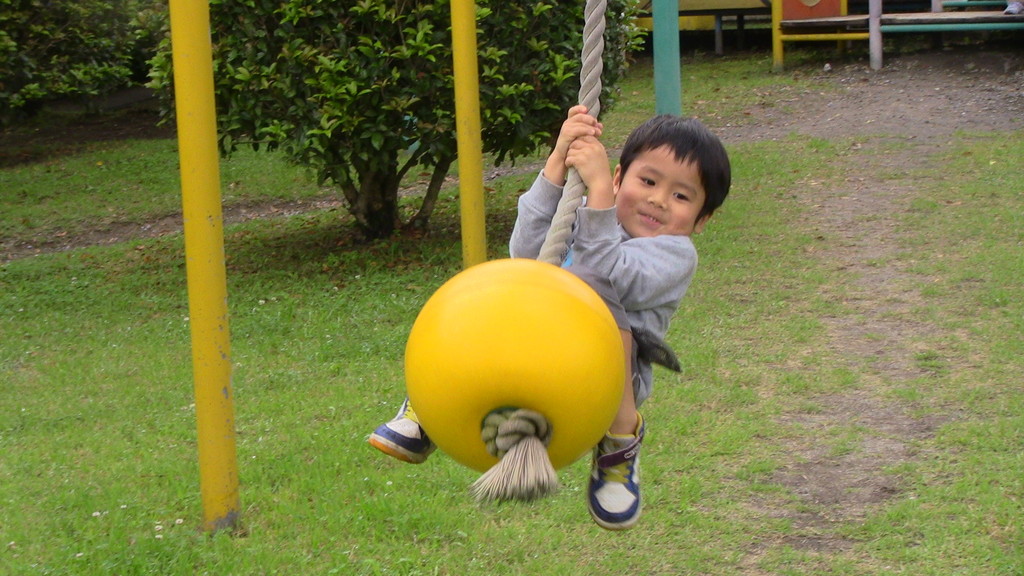 �礭���ʤä���