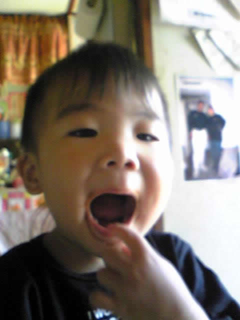 �⤥�ʤ����(^O^) �⤥�ʤ����(^O^)