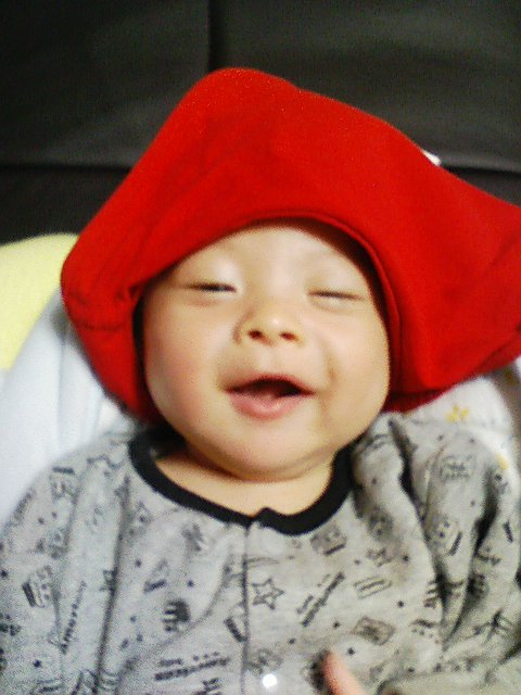 ����줫������Ƭ�Ҥˡ��� ����줫������Ƭ�Ҥˡ���