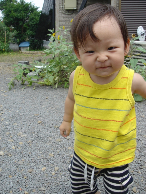 miten�ǥӥ塼���裲��