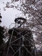 ��졩