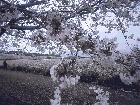 4/2�����Ը���ʯ��