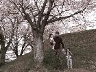 �ѥѤȰ���