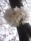 ���졩���褫��餤�Ƥ�