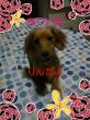 ���Ӥ������ƤǤ���m��