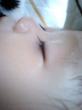 ���Ӥ������ƤǤ���i��