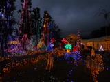 DSCN0274.JPG