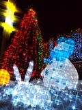 Joy Plaza��1��