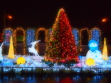Joy Plaza��2��