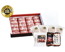 DLG����ǰ���̥ϥ�С������å� H-3855