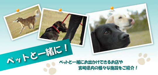 No.1���ڥåȤȰ��ˤ������˹Ԥ�����